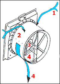 Screenomatic3